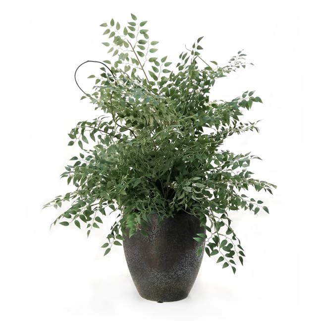 Unisex Smilax & Curly Willow in Bronze Plum Pot - Green