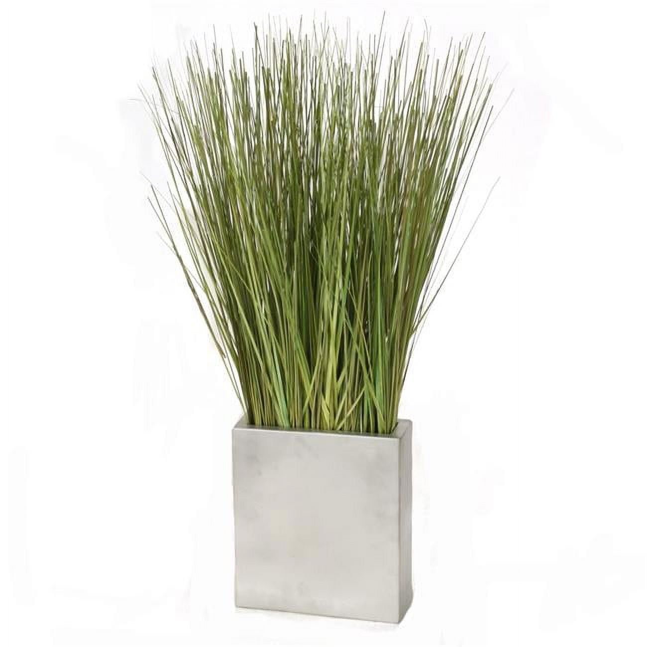 Unisex Grass in Silver Cube Planter - Green