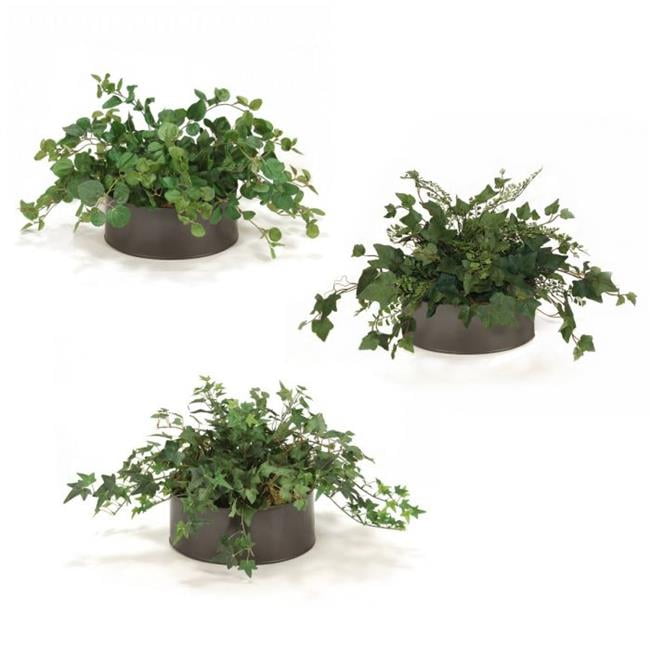 Disttive Designs 2712U Unisex Greenery Assortment in Bronze Container - Green - Set of 3