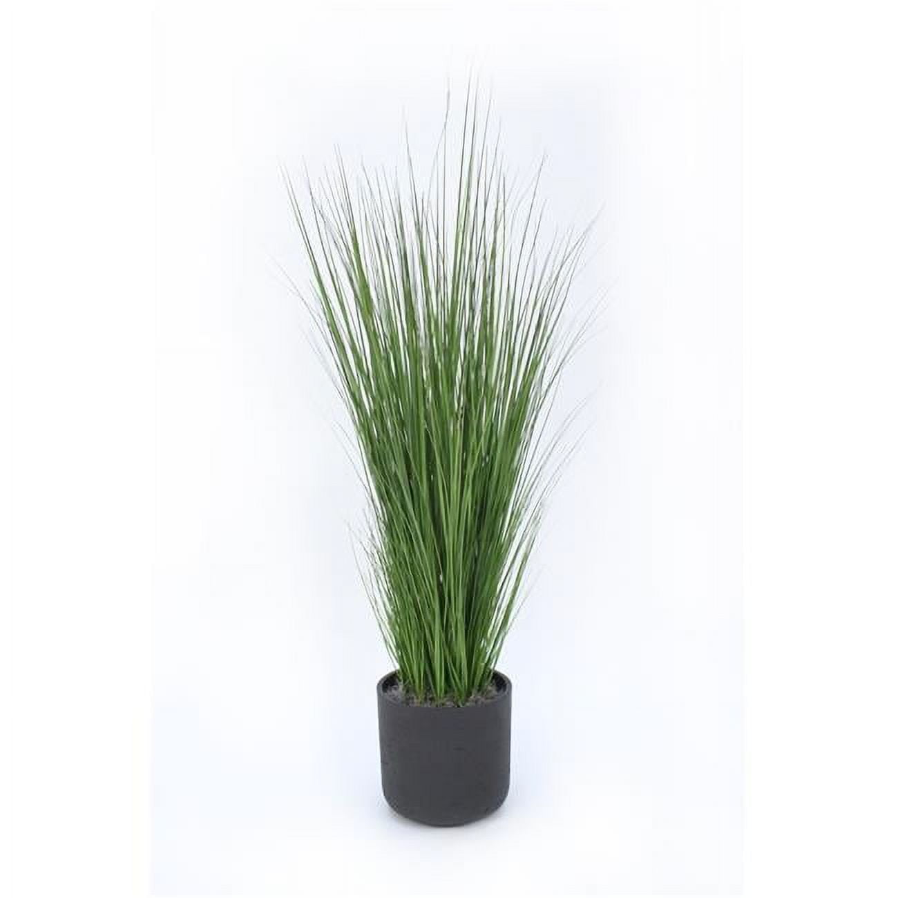 Unisex Grass in Black Wash Pot - Green
