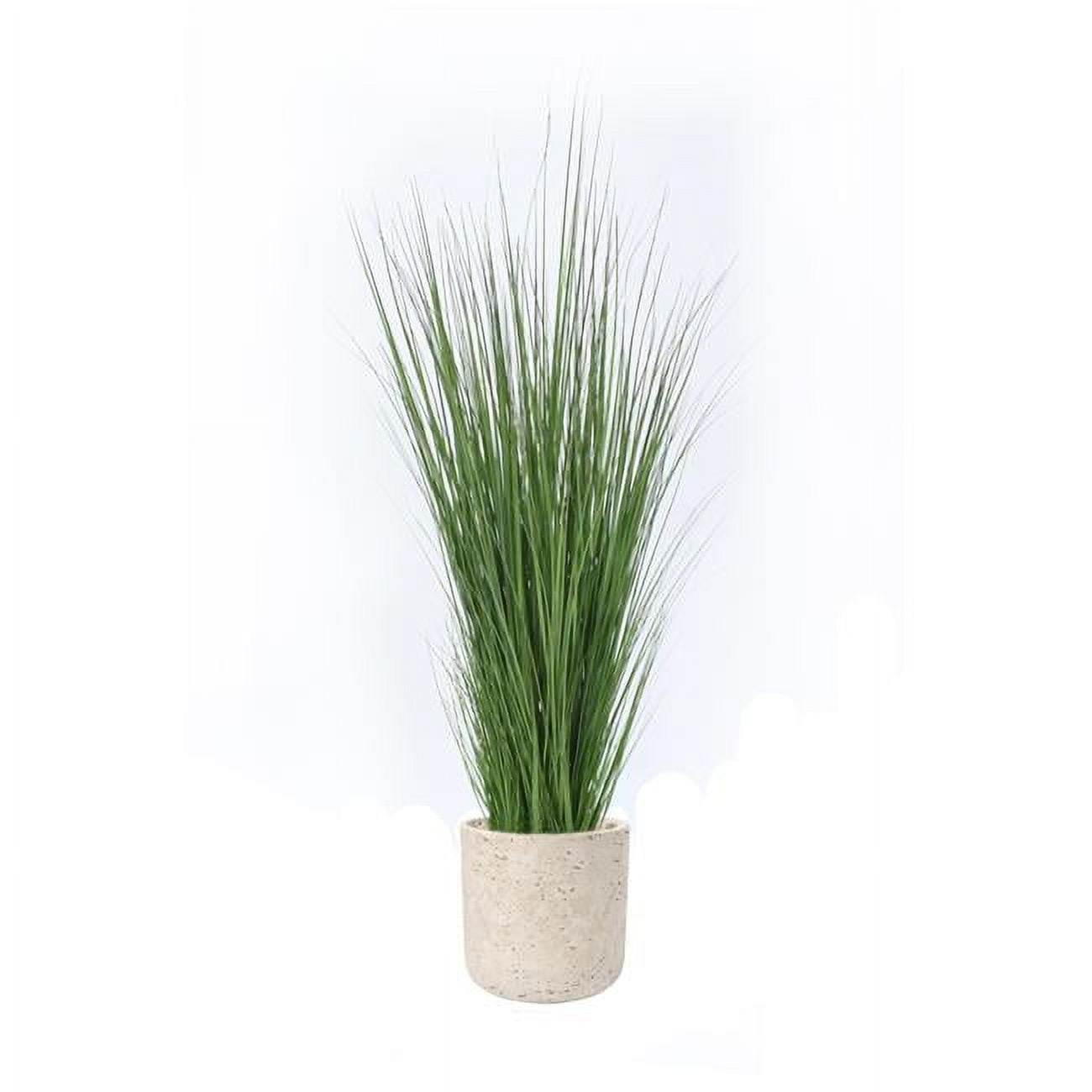 Disttive Designs 2942E Unisex Grass in Grey Wash Pot - Green