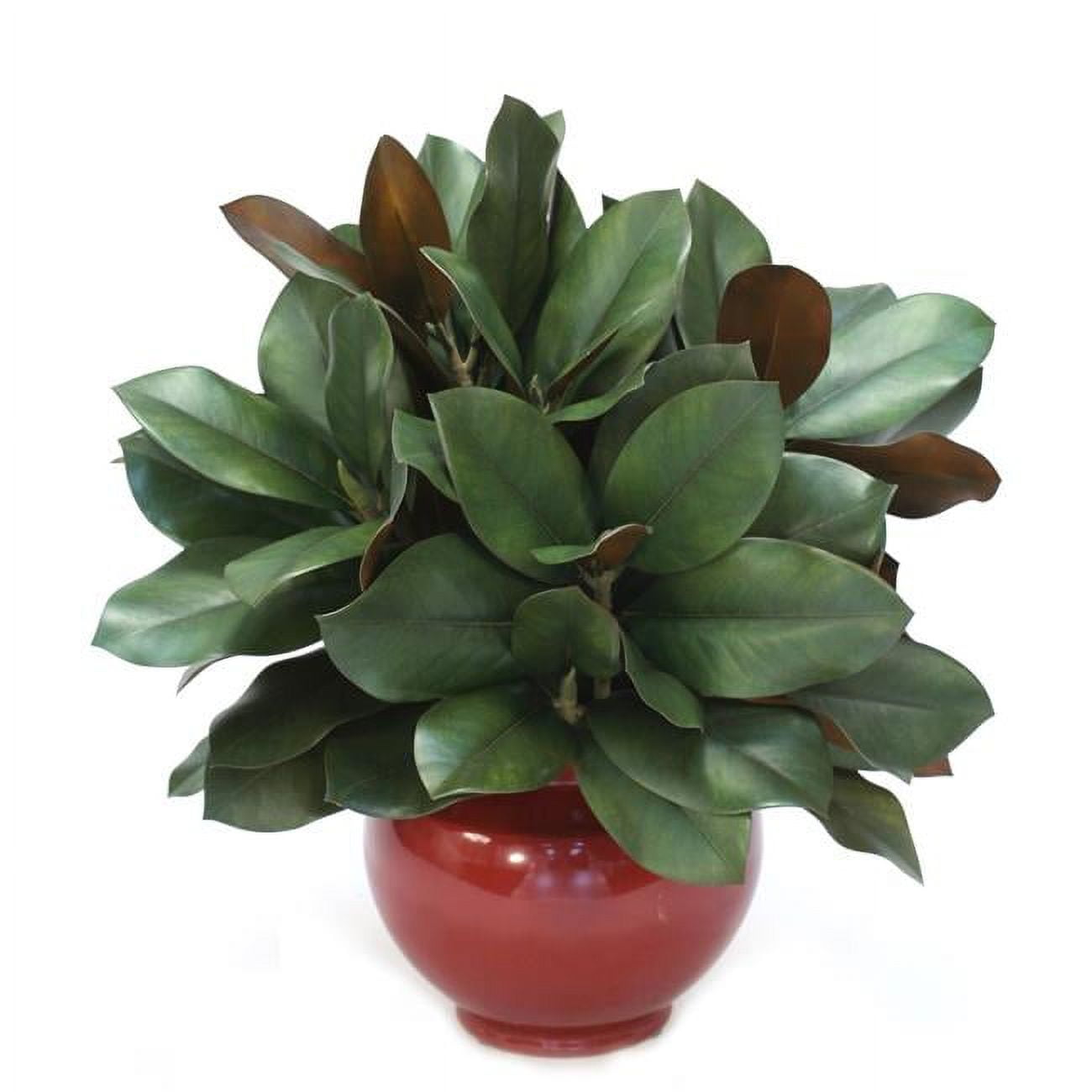 Unisex Magnolia in Red Rust Vase - Green