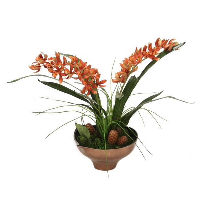 Unisex Rust Cymbidium Orchid in Gold & Black Bowl - Red