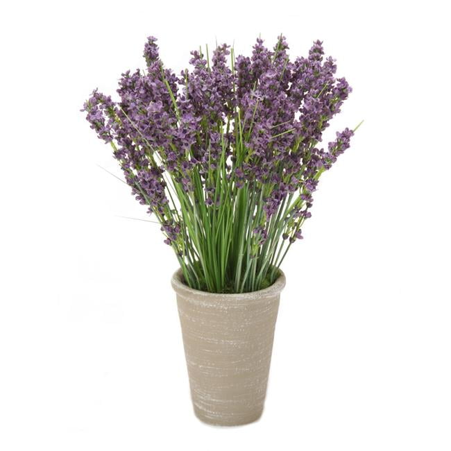 Unisex Dried Lavender in Grey Planter - Purple - Pack of 2