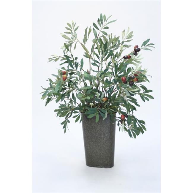 Unisex Olive Tree in A Wall Pocket - Brown