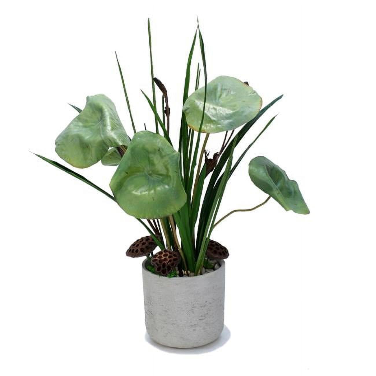 Unisex Waterlilies in A Grey Stone Planter - Brown