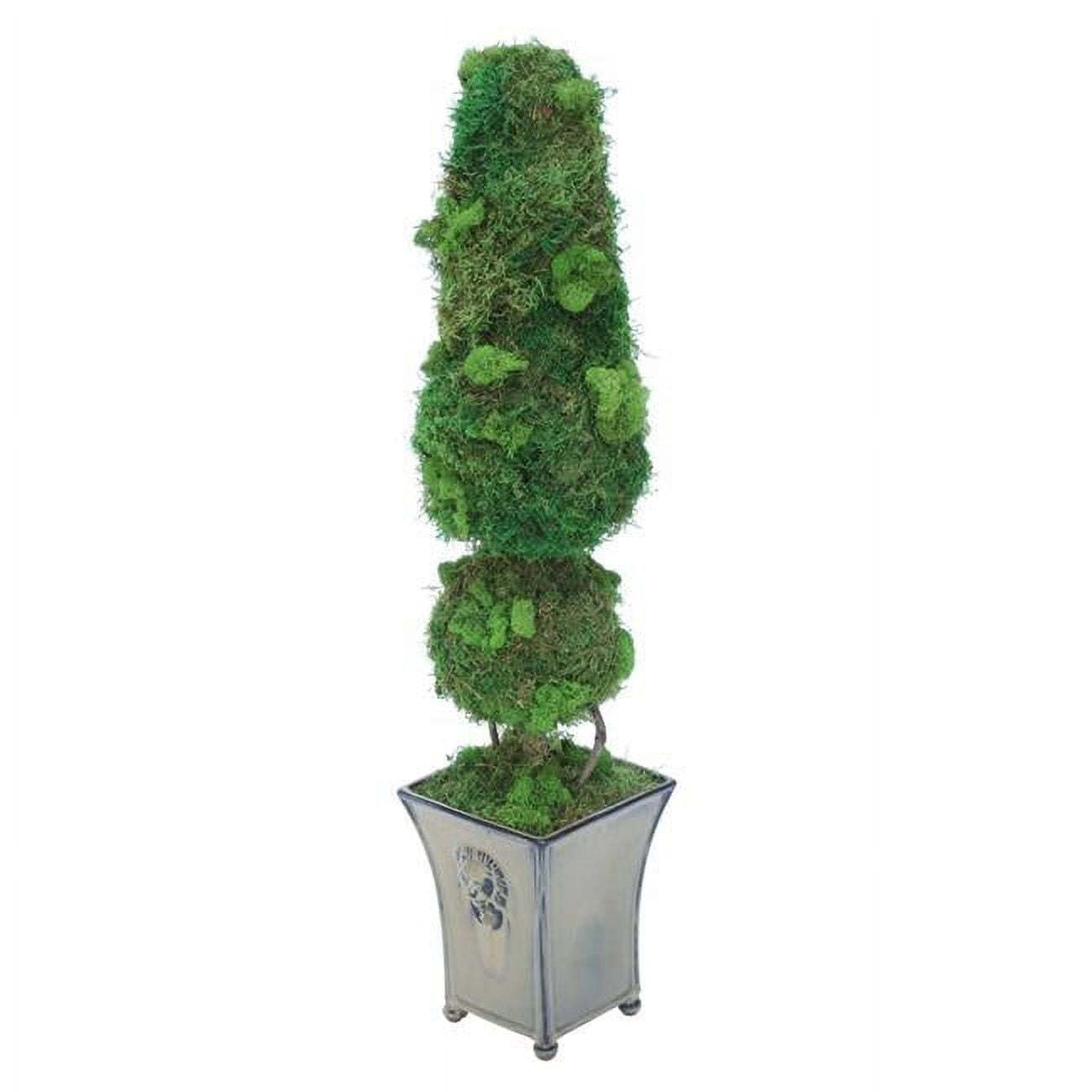 Unisex Preserved Moss Cone & Ball Topiary in Toleware - Brown
