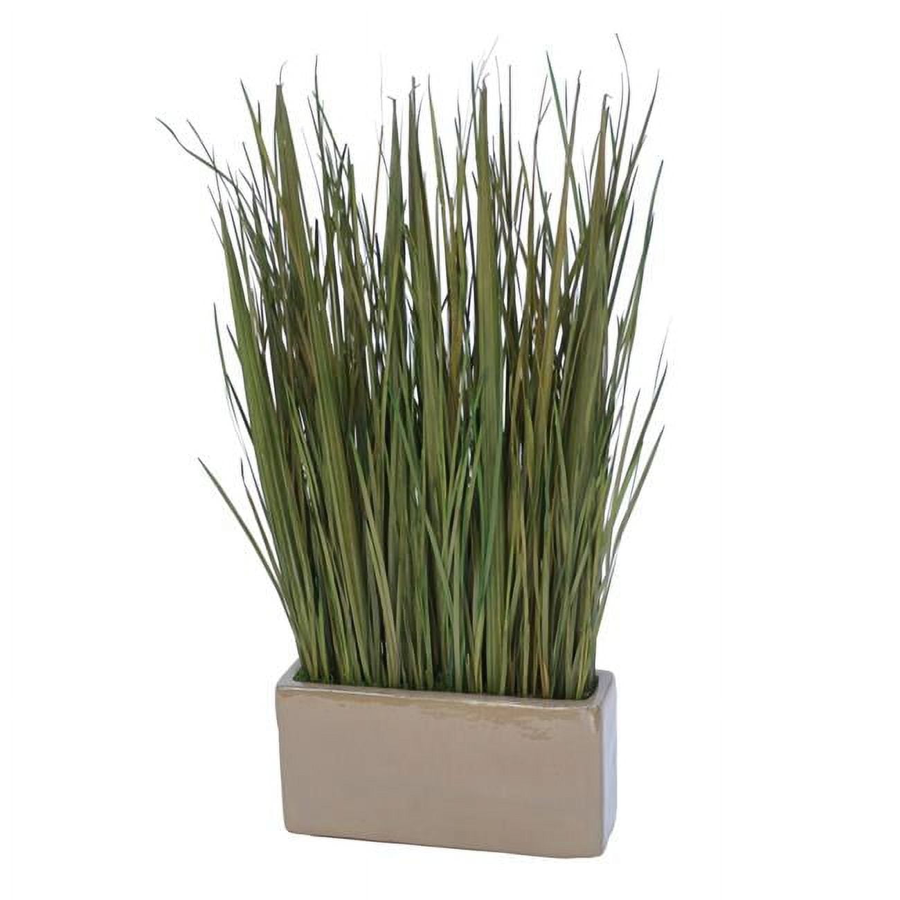 Unisex Natural Grass Blades in Rectangle Mocha Planter - Brown