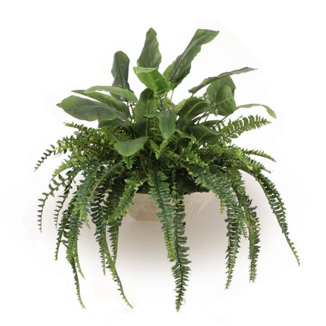 Disttive Designs 3052 Unisex Mixed Greenery with Fern & Bird of Paradise in Bowl - Green