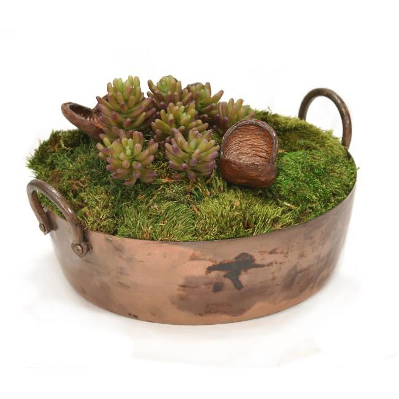 Unisex Succulent Garden in Metal Round Planter - Green