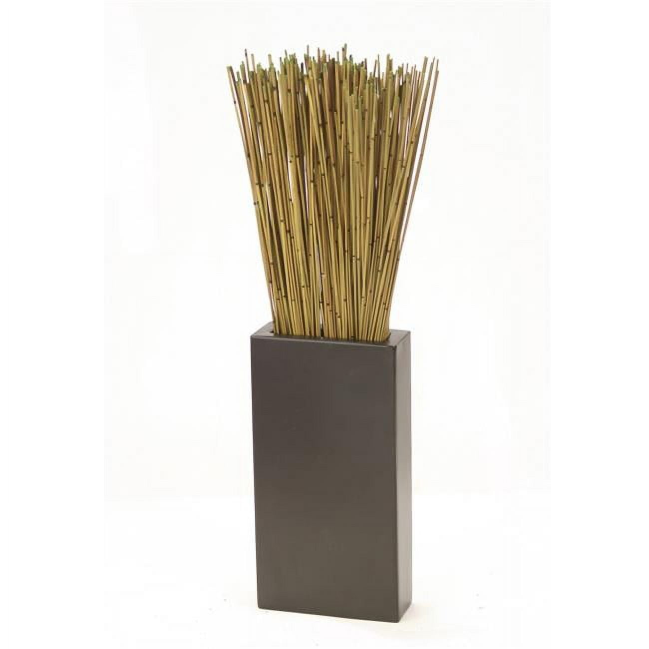Unisex Basil Reeds in Tall Black Vase - Green
