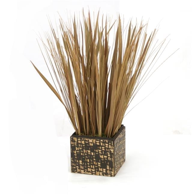Unisex Natural Grasses in Black & Bamboo Box - Brown