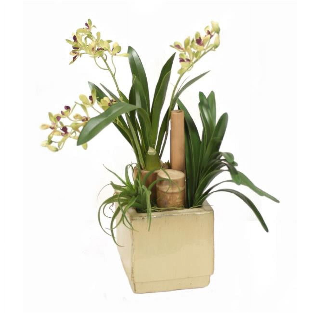 Unisex Vanda Orchids with Bamboo & Succulents in Beige Planter - Red