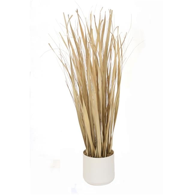 Unisex Rush Natural Grass with Fountain Grass in White Pot - Neutral