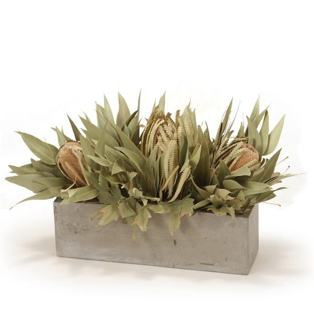 Unisex Banksia with Dried Eucalyptus in Concrete Window Box - Green