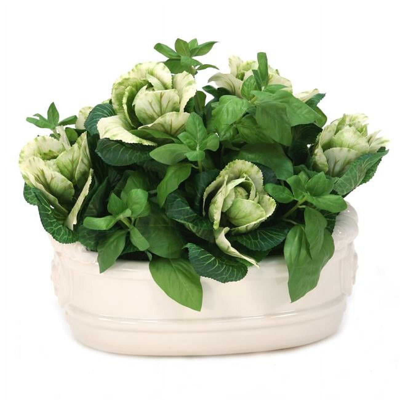 Unisex Kale with Basil in White Oval Planter - Green