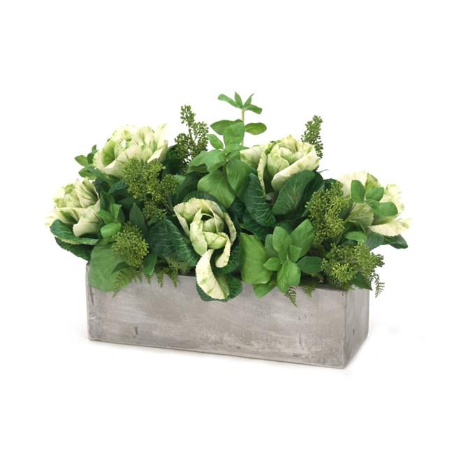 Unisex Kale Mix in Window Box - Green