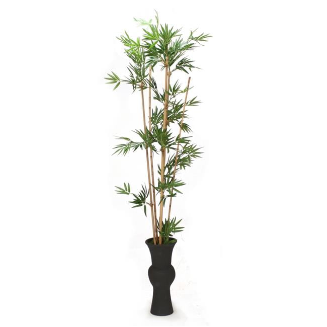 Unisex Bamboo in Black Vase - Green