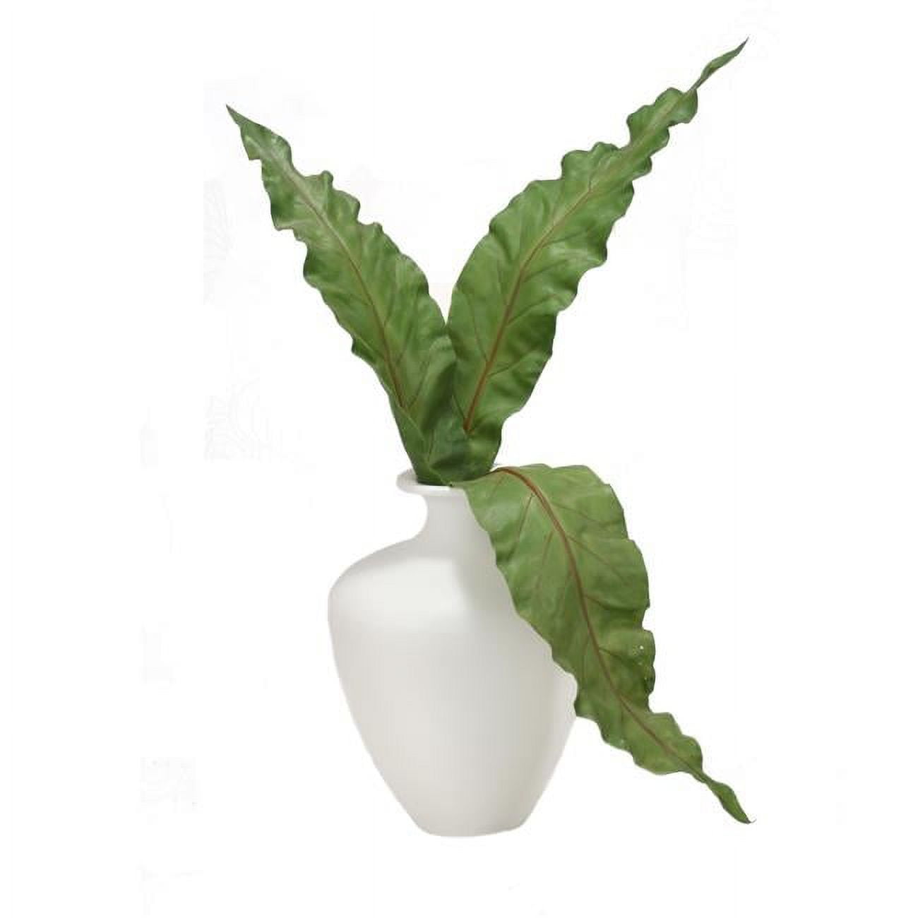 Unisex Anthurium Leaves in White Vase - Green