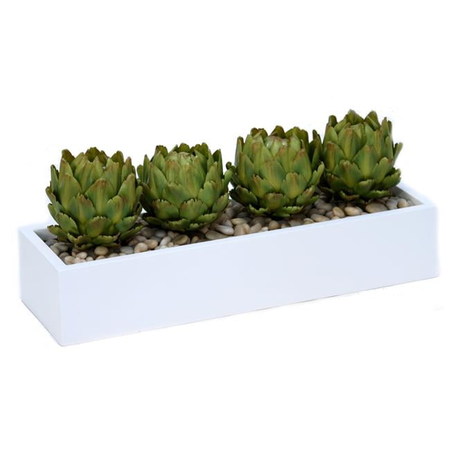 Unisex Artichokes in Long White Box - Green