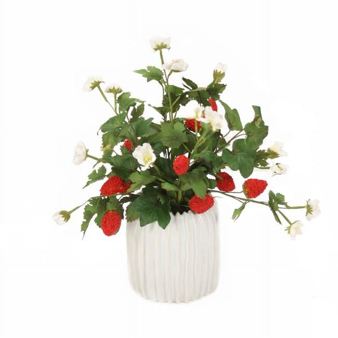 Picture of Disttive Designs 5101A Unisex Strawberries & Hedera Ivy in White Ribbed Planter - Red