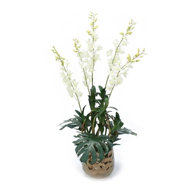 Unisex White Dendrobium Plants in Gold Gabbi Planter - Green
