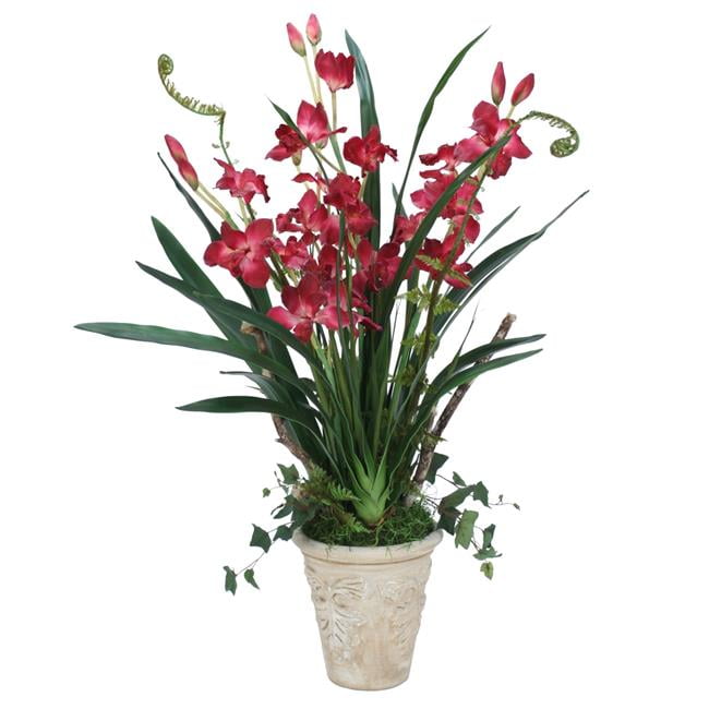 Unisex Orchid in Garden Embossed Pot - Green