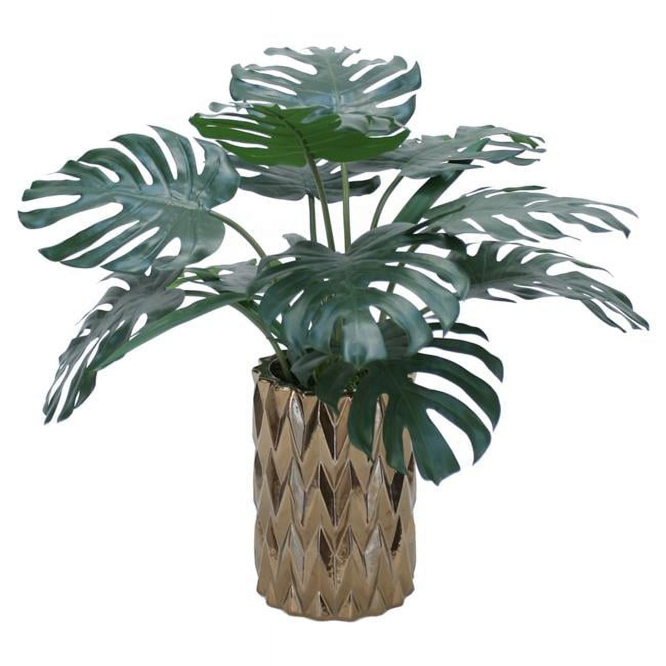 Unisex Split Philo Plant in Bronze Planter - Green
