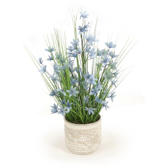 Unisex Blue Honeysuckle with Grass