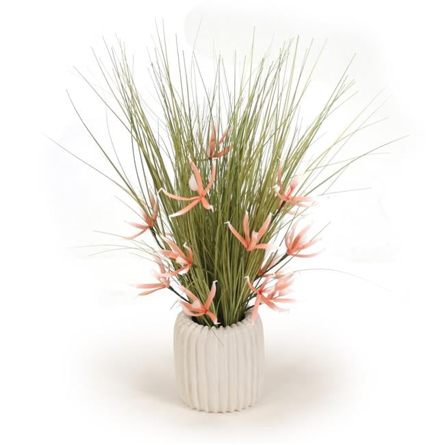 Unisex Coral Orchid in White Pot - Orange