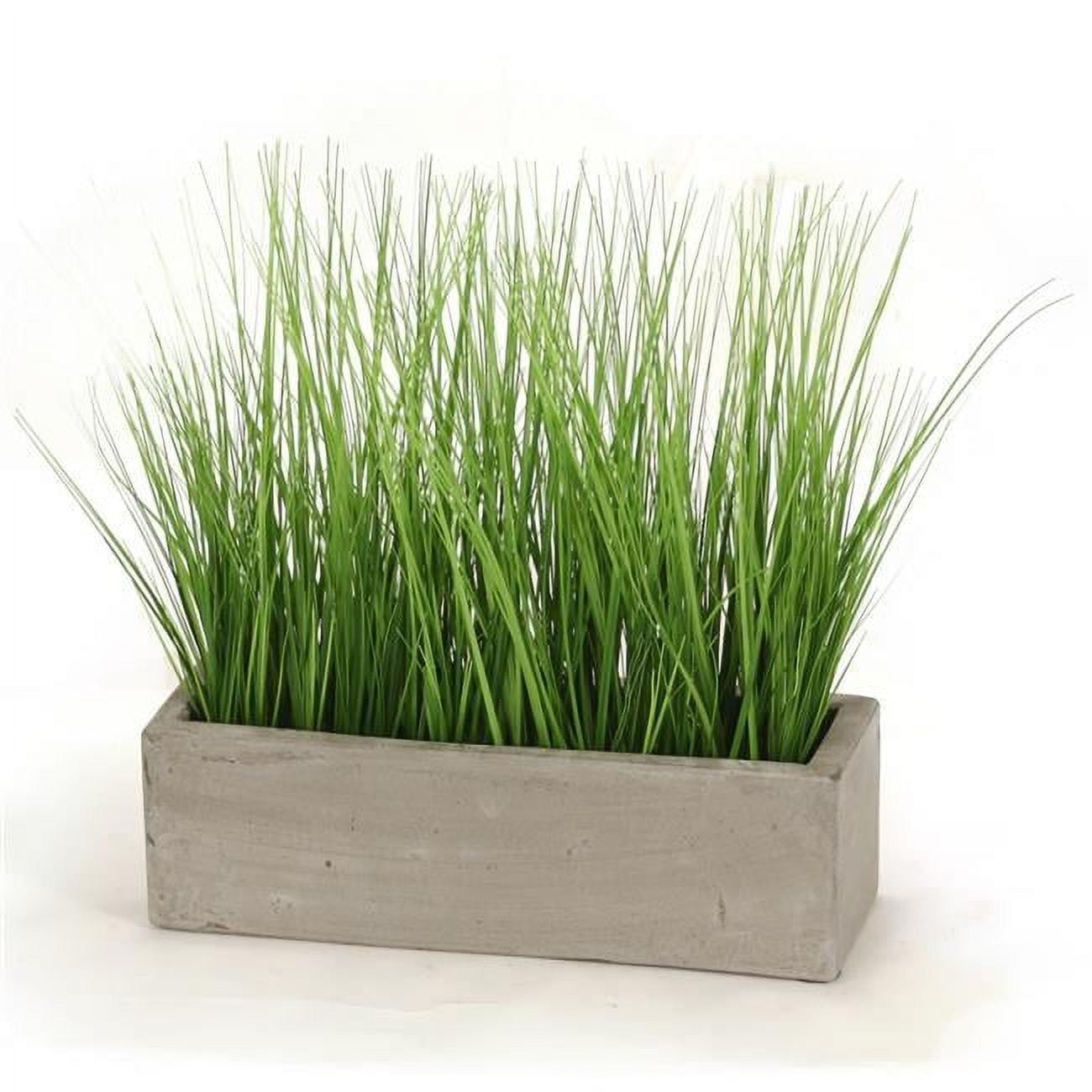Unisex Grass in Concrete Window Box - Green
