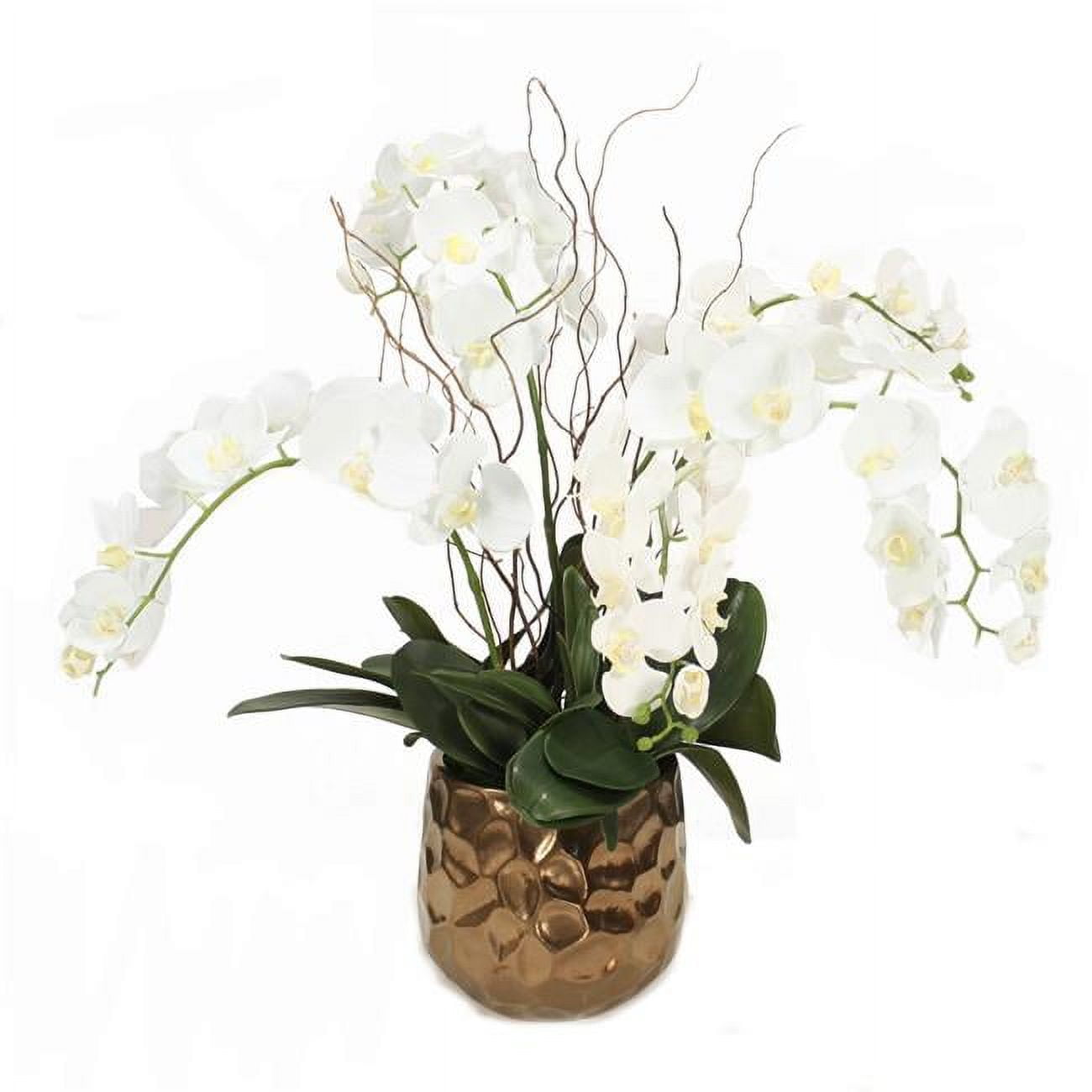 Unisex Cream White Phalaenopsis Orchids in Gold Planter