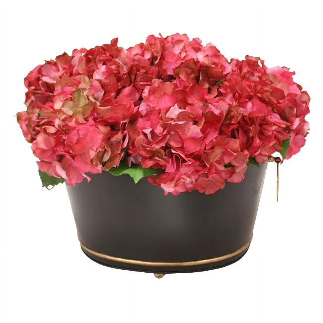 Unisex Hot Pink Hydrangea in Black Oval Planter with Gold Trim