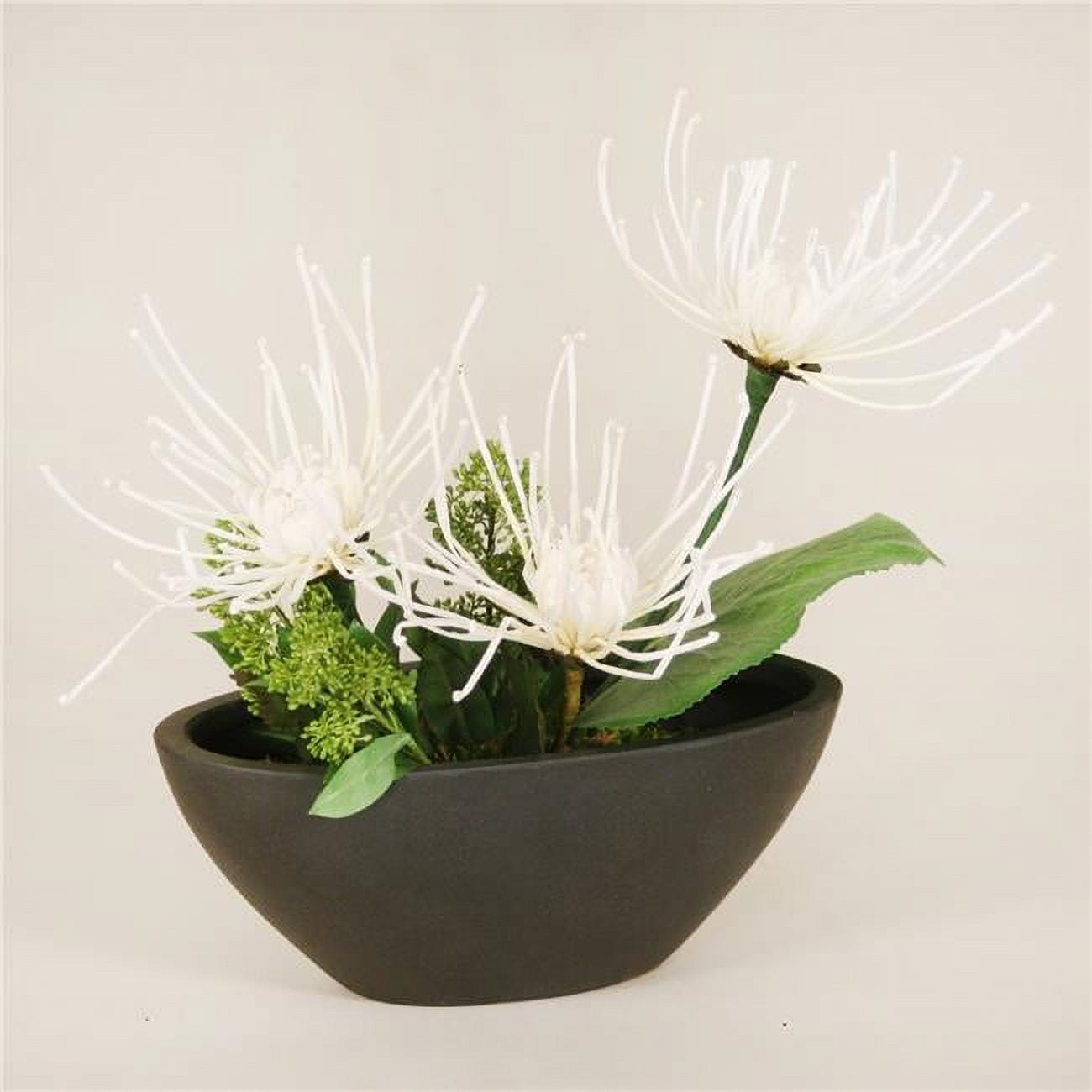 Unisex White Fugi Mums in Black Oval Planter - Green