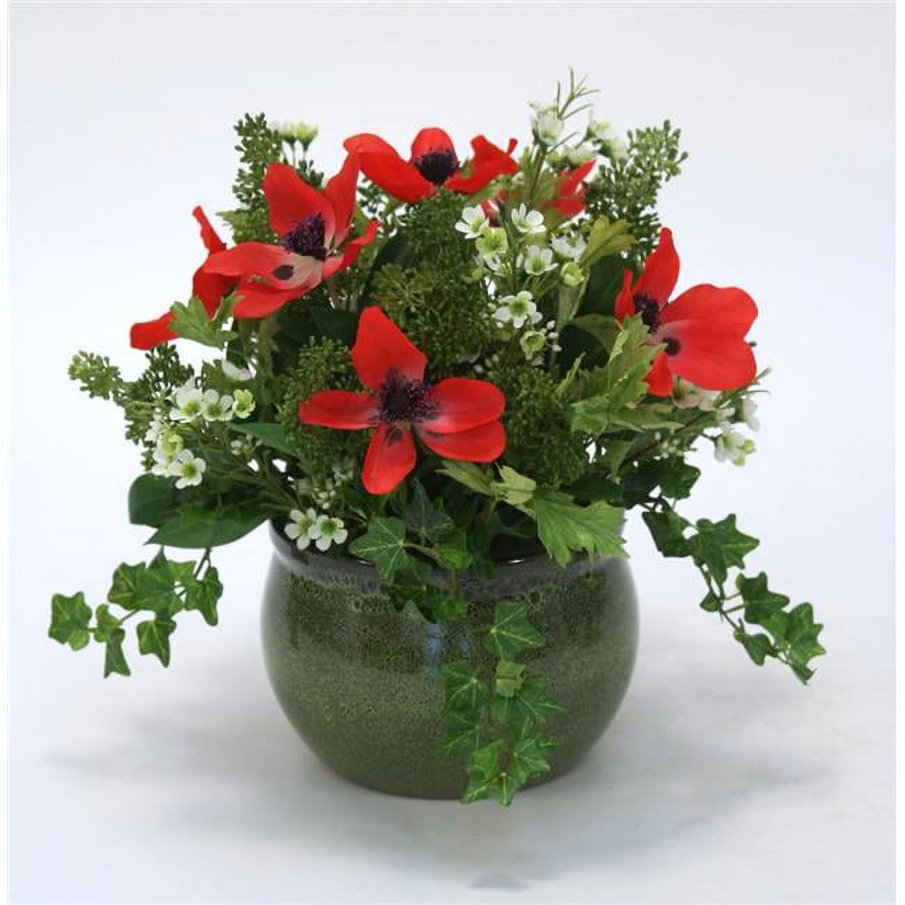 Unisex Red Anemone Arrangement in Green Planter