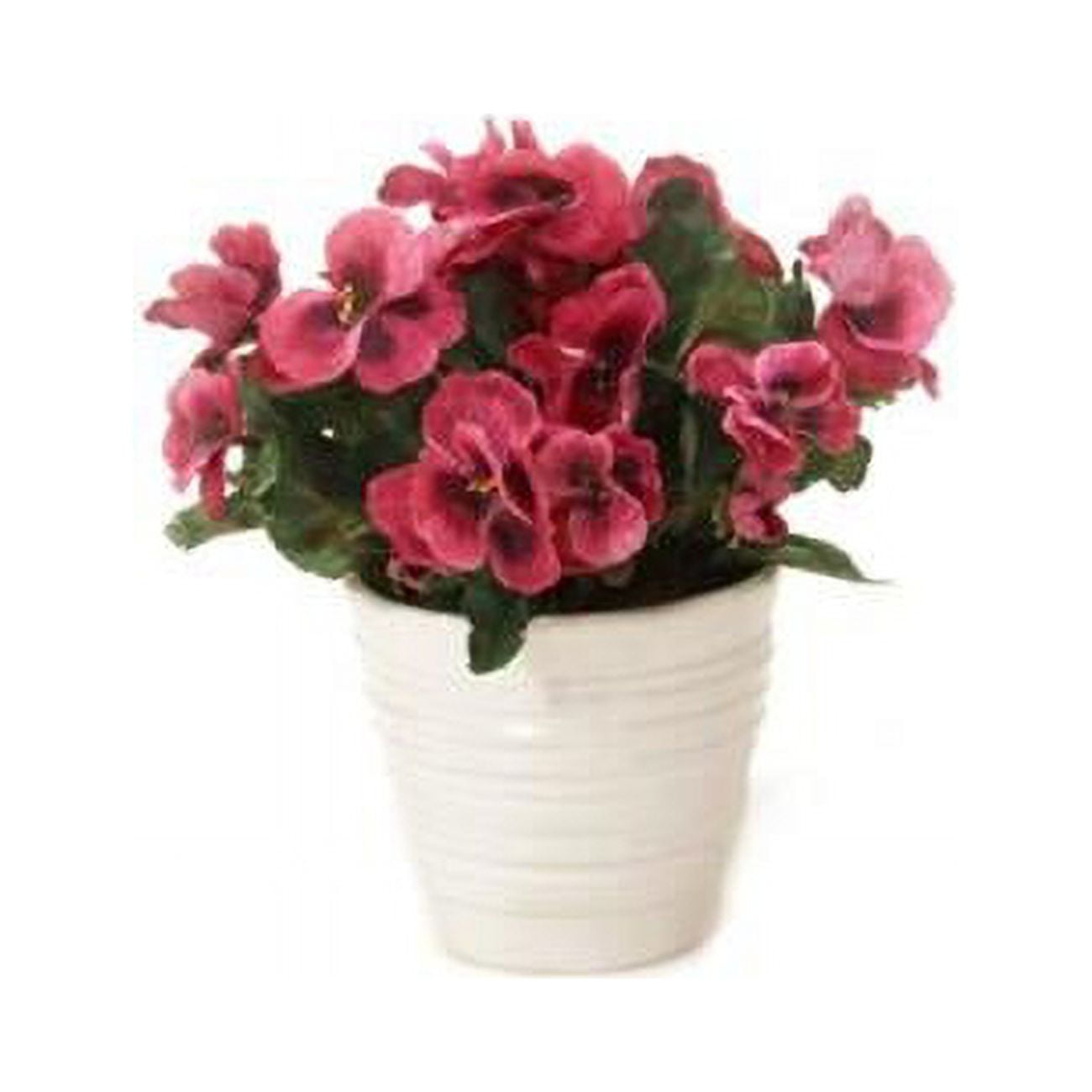 Unisex Rose Pansies in White Vase - Green