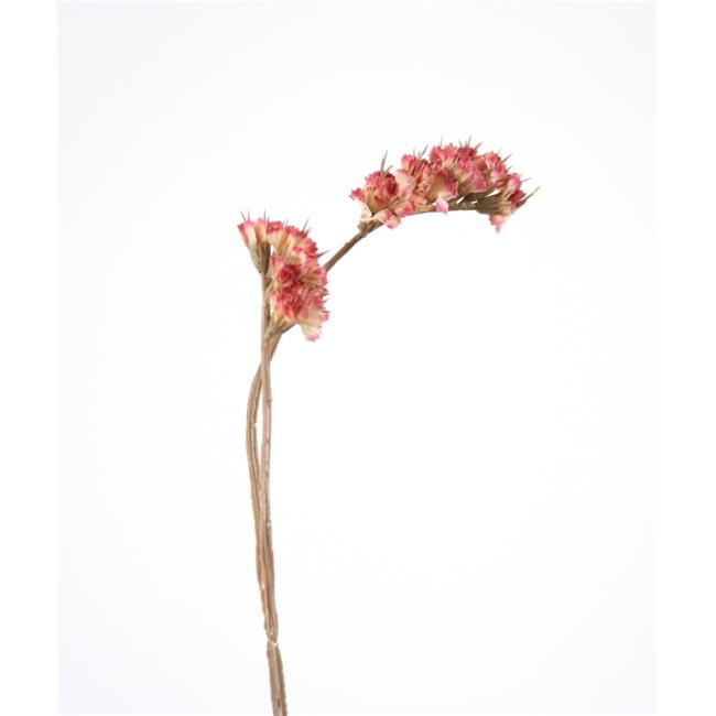 Unisex Mini Statice in Mauve - Red - Pack of 72