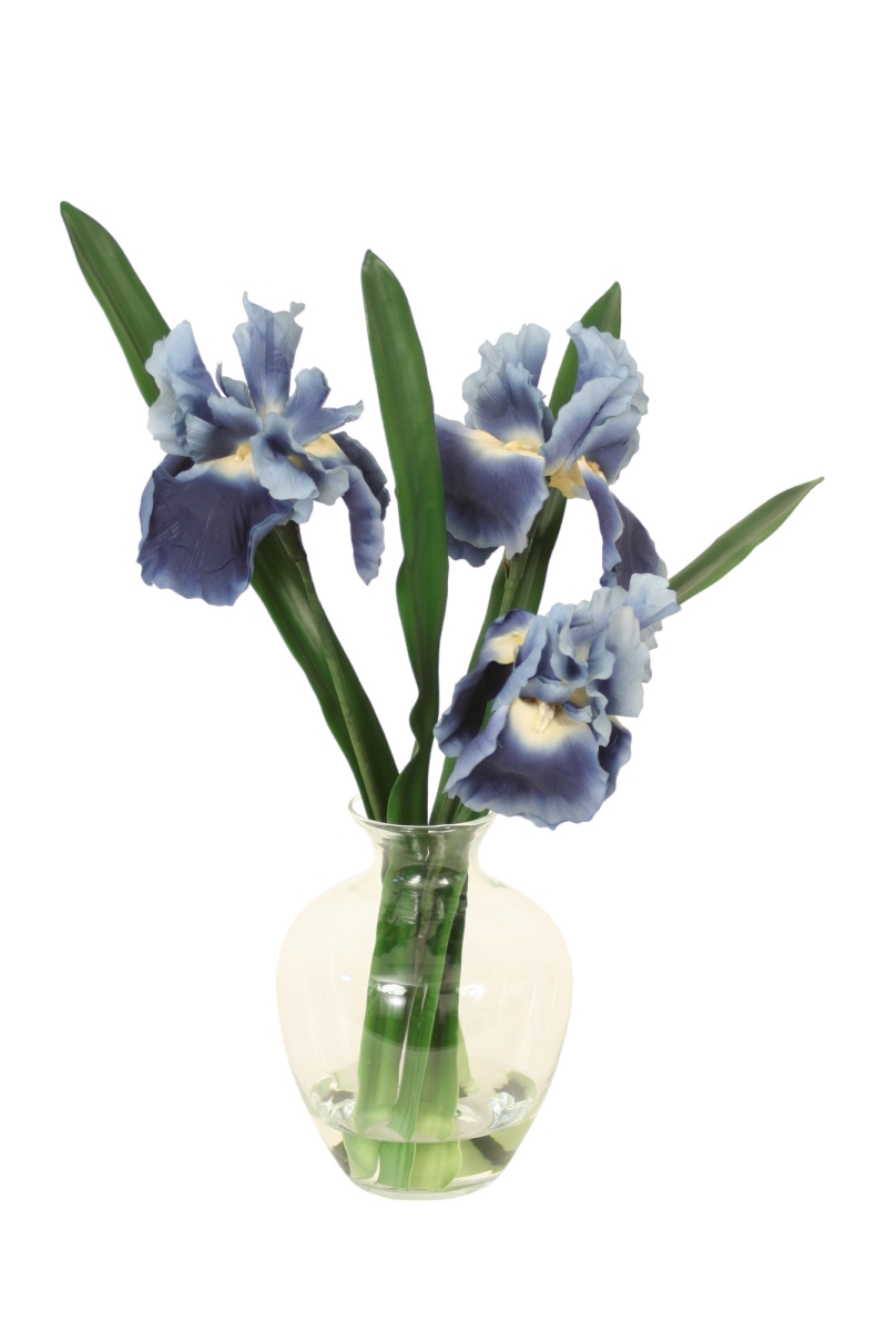 Distinctive Designs 16056 Blue Iris with Blades in Victora Vase