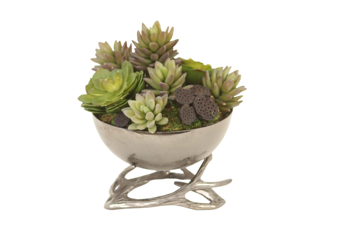 Distinctive Designs 1967A Luxury Artificial Decor Mixed Succulents in Nickel Horn Bowl