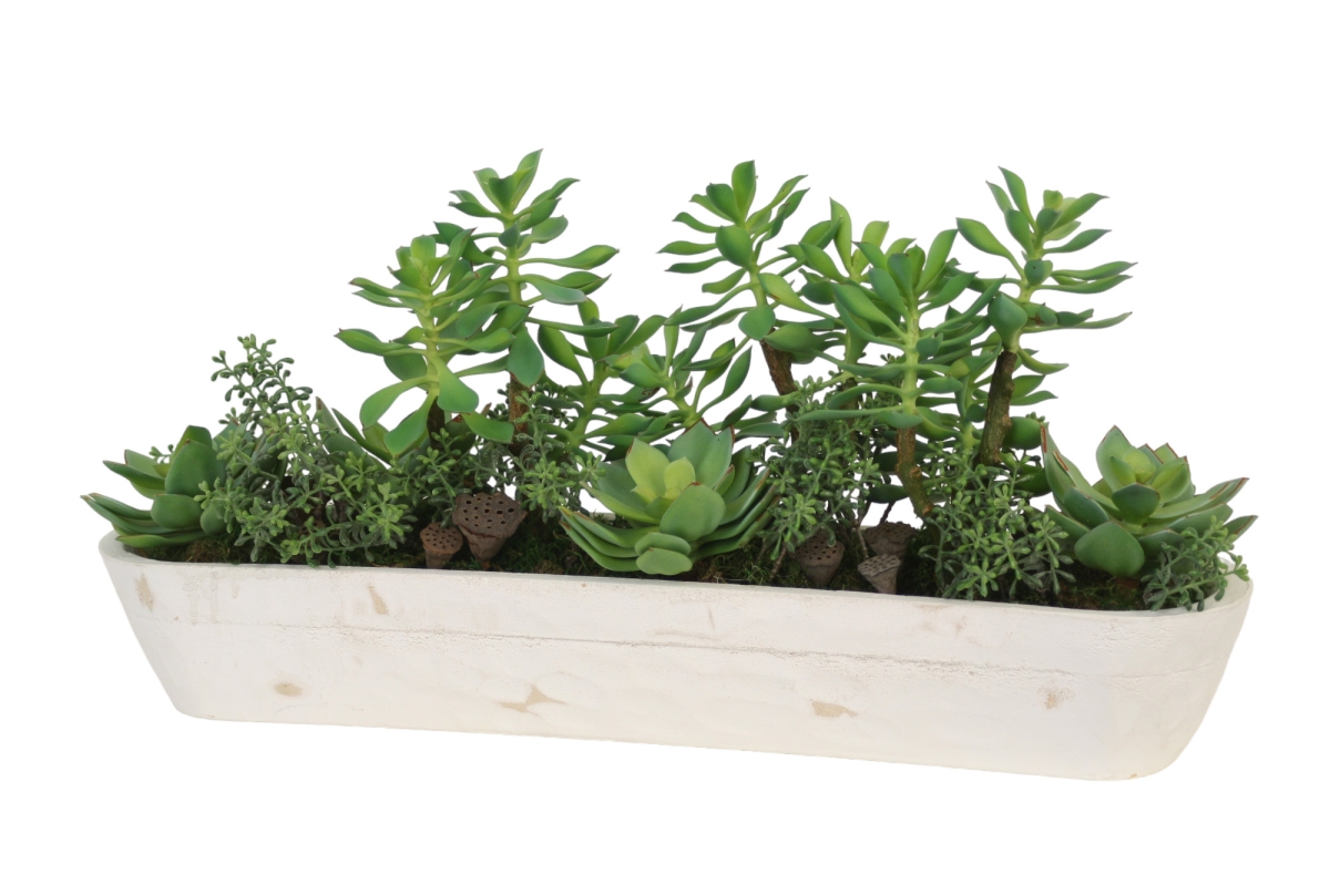 Distinctive Designs 20014A Luxury Artificial Decor Mixed Succulent Garden - White Wooden Trough