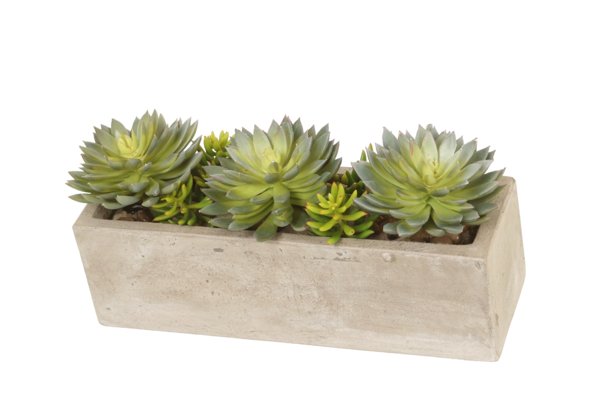 Distinctive Designs 20064 Luxury Artificial Decor Sword Succulents in Concrete Window Box
