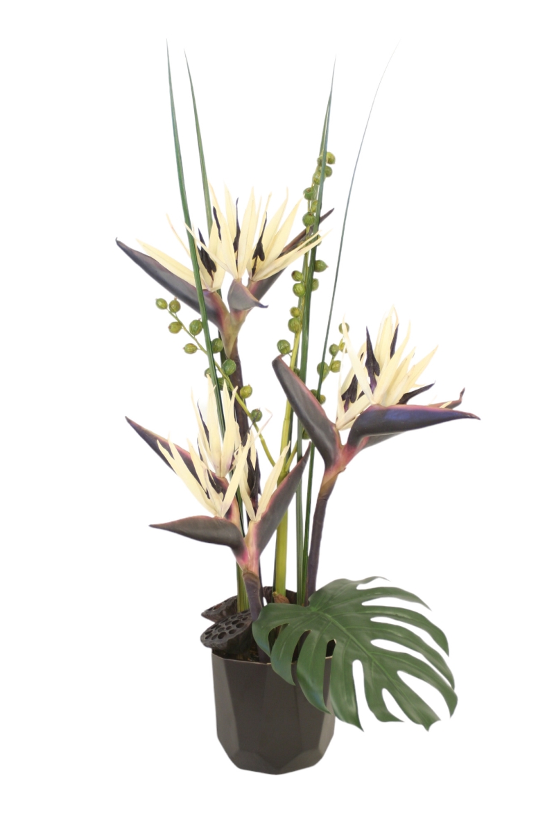 Distinctive Designs 30042 Luxury Artificial Decor Black Birds of Paradise in Black Ceramic Planter
