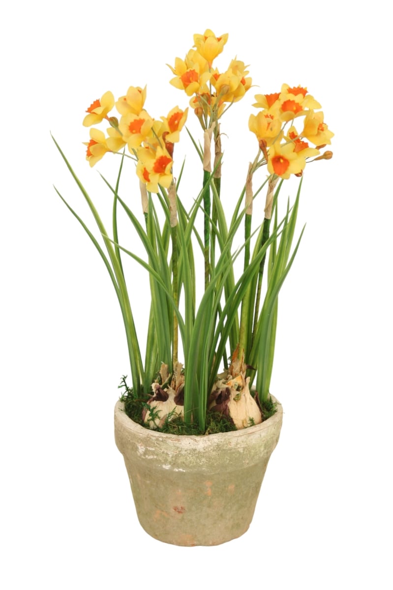 Distinctive Designs 30051 Luxury Artificial Decor Orange-Yellow Narcissus in Rustic Planter