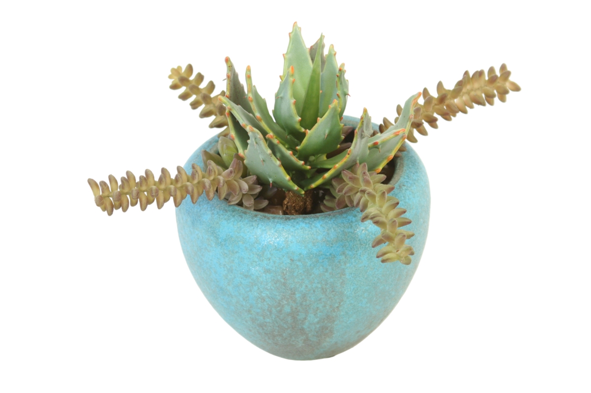 Distinctive Designs 3033A Luxury Artificial Decor Succulent Garden in Turquoise Pot