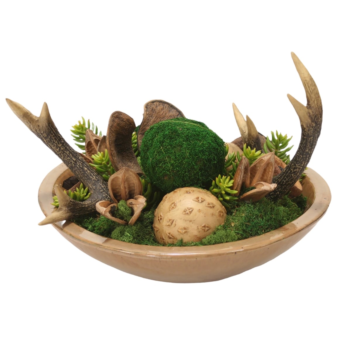 Distinctive Designs 20018 Mixed Succulent Garden and Moss in Mocha Sto are Bowl