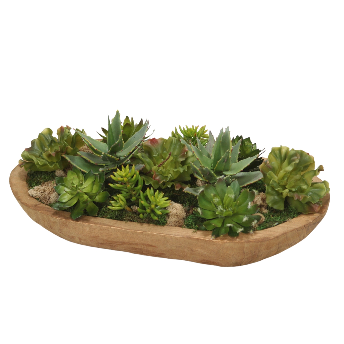 Distinctive Designs 1979A Succulent Garden in Wood Bowl