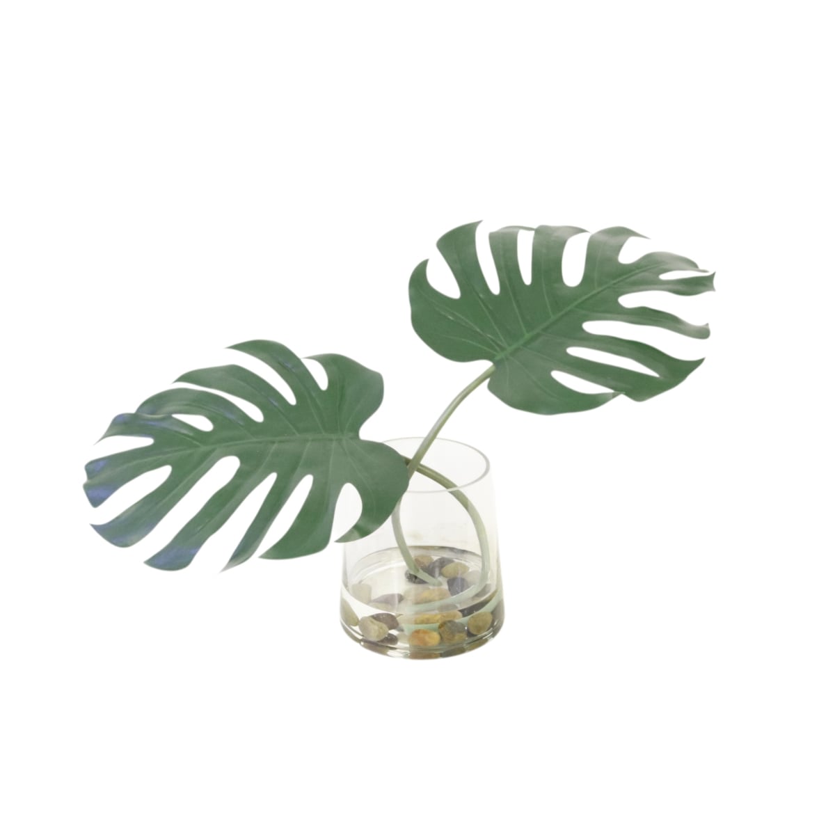 Distinctive Designs 17424 Philodendron Leaf in Tapered Glass