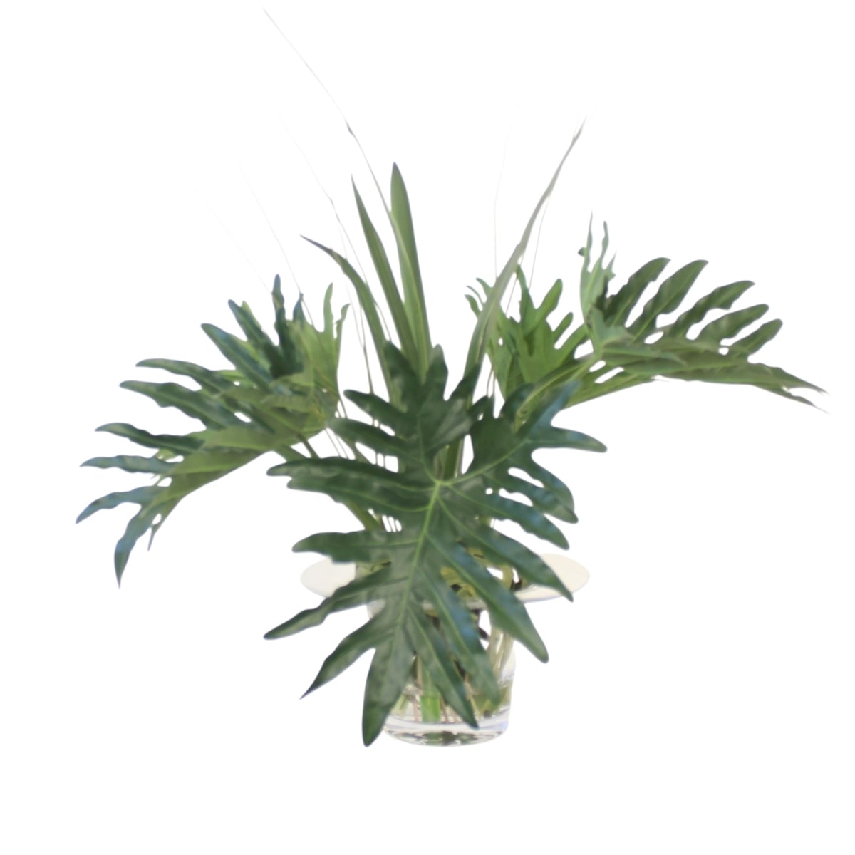 Distinctive Designs 17426 Split Philo Leaves in Glass Vase