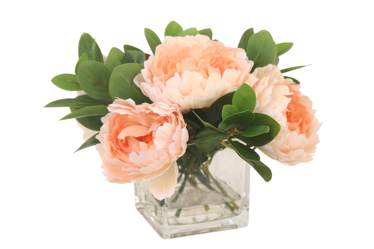 Distinctive Designs 17434 Champagne Peach Peonies in Glass Cube