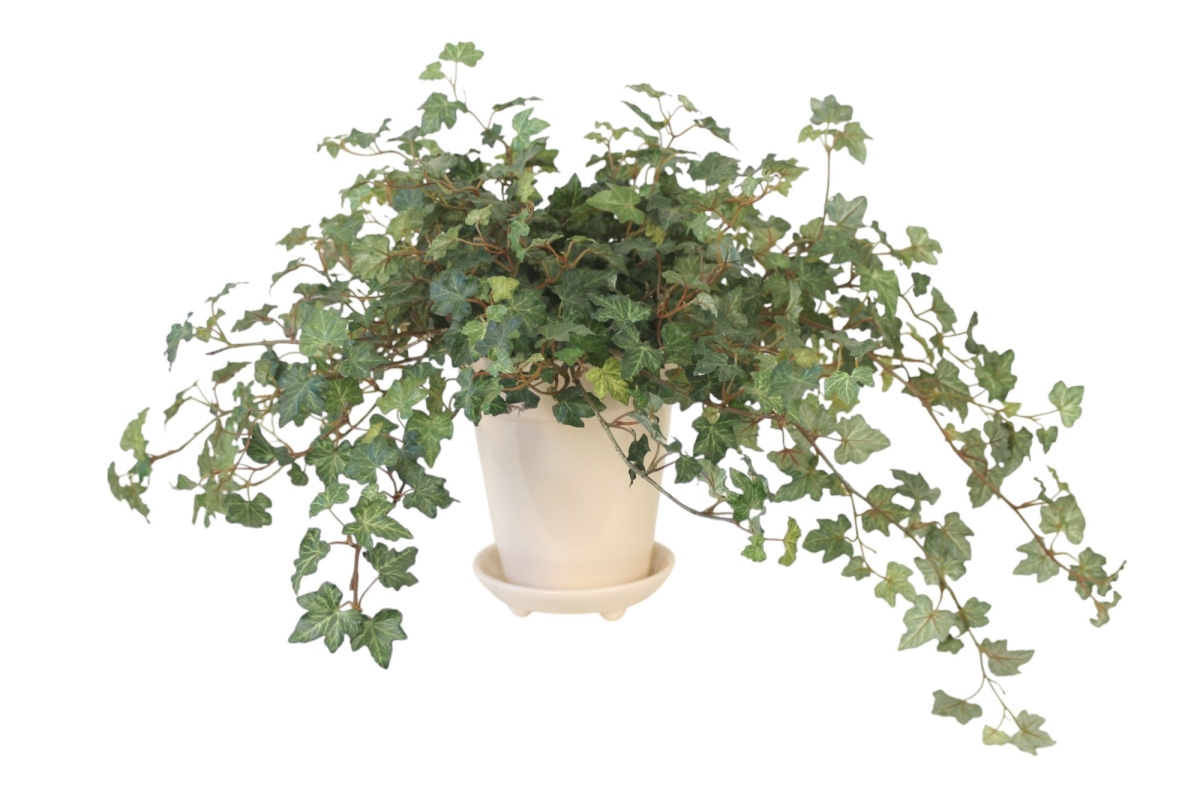 Distinctive Designs 20133 Ivy in White Planter with Saucer